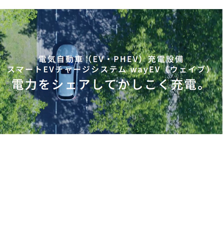 展示品